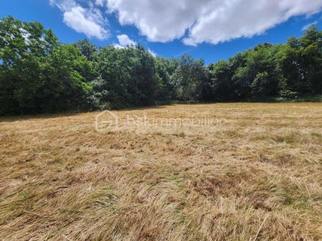 Terrain de loisirs bord de rivière – 2860 m² – Sanxay