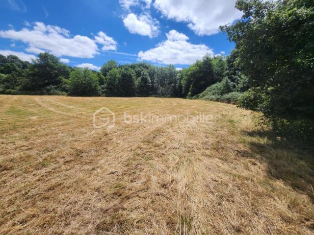 Terrain de loisirs bord de rivière – 2860 m² – Sanxay