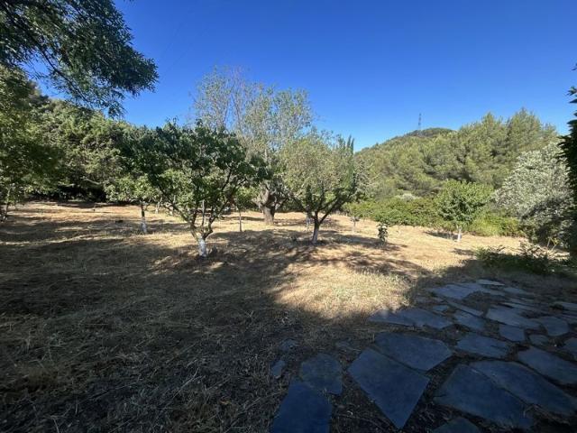Terrain de loisirs de 5 070 m² en zone naturelle ! Cabanon