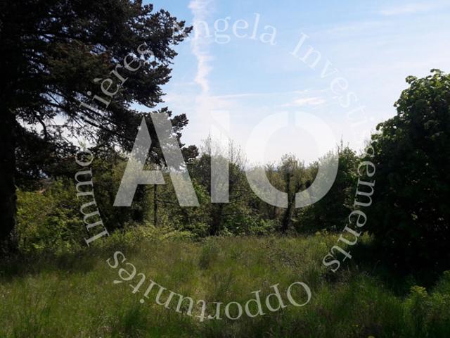 TERRAIN DE 8 646m2 AVEC MAISON INDIVIDUELLE D'UNE SURFACE DE
