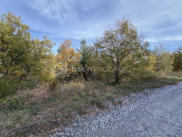 Terrain 10850 m2 Rabouillet