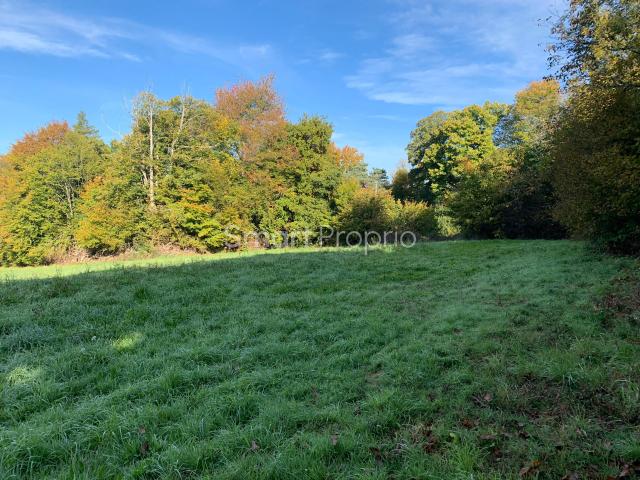 Terrain 1200 m2 avec longère 160 m2