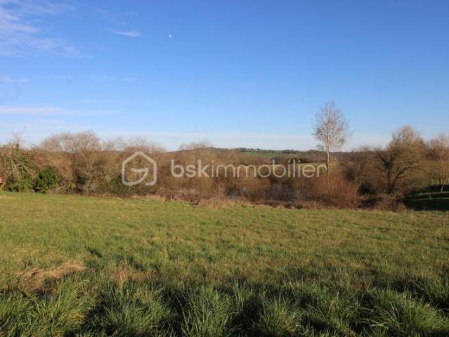 Terrain 1 ha dont étang et 4500 de constructible