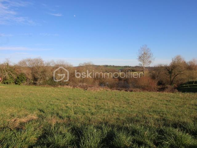 Terrain 1 ha dont étang et 4500 de constructible
