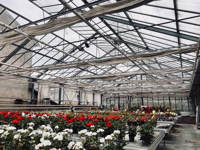 MAISON + TERRAIN 47 ARES A BATIR PLS PROJETS SERRES HORTICOLES
