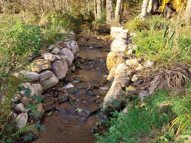 Terrain 4,63 ha avec 4 étangs au calme