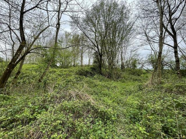 Terrain 5440m ²