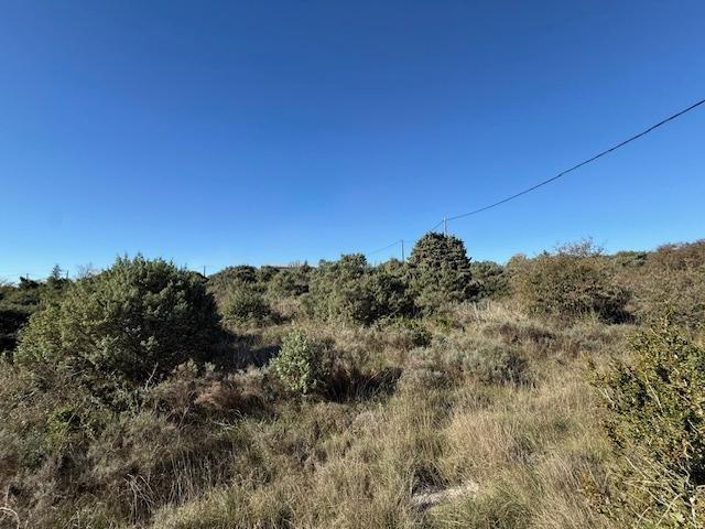 Terrain 7152 m² en zone artisanale et industrielle Laville. m² Lavilledieu