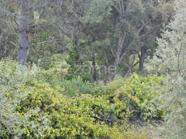 Terras agrícolas com 39.100 m² – Favaios, Alijó