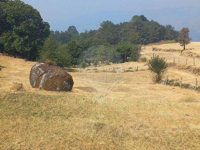 Terras De Bouro Braga 100021114
