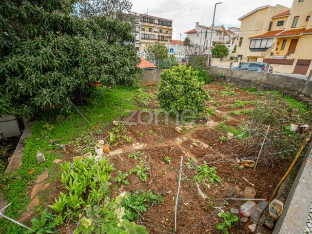 Terras em Alvide