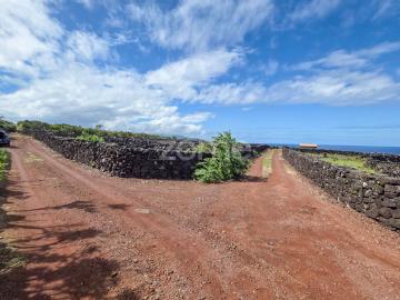 Terras vitivinícolas localizadas em Bandeiras, na Ilha do Pico