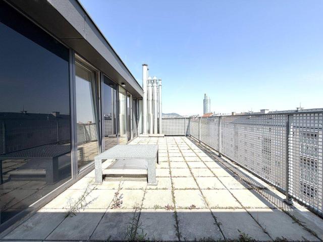 Terrassentraum mit Blick auf den Kahlenberg 2 Zimmer Mietwohnung in Top Lage zwischen U1 Vorgartenstraße & U6 Handelskai
