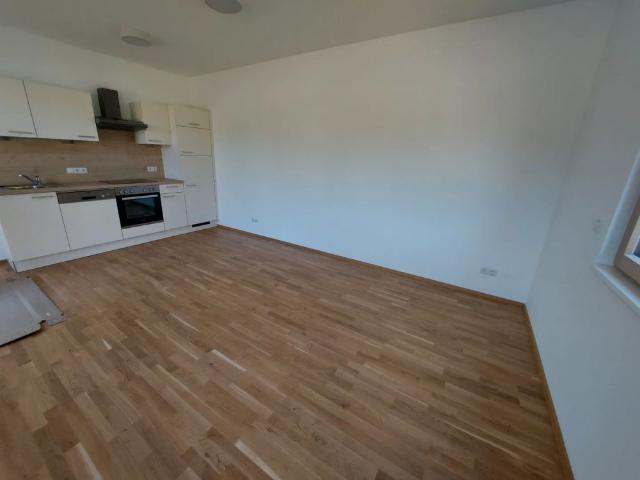 TERRASSENWOHNUNG MIT GARTEN/GARAGE IN LANGENLOIS