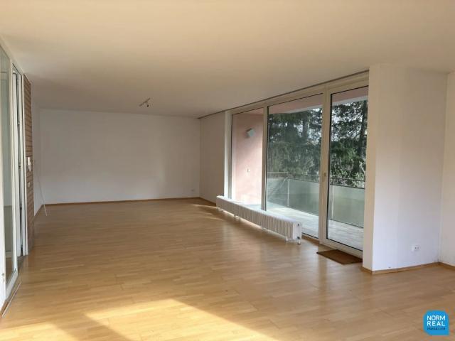 Terrassenwohnung am Pötzleinsdorfer Park