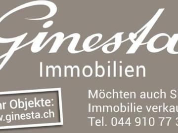 Terrassenwohnung 4.5 Zimmer