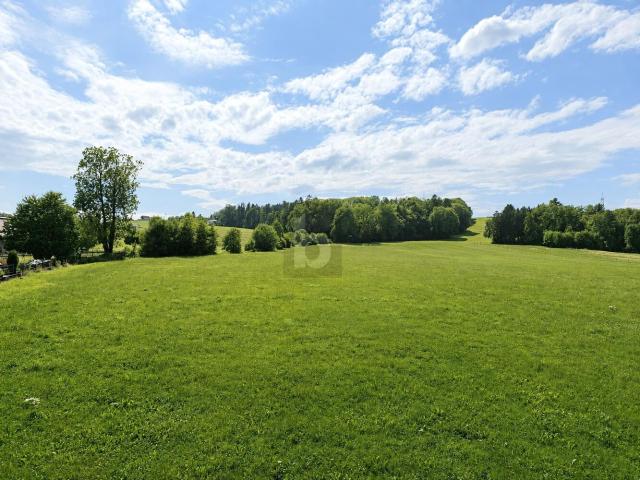 Terrassenwohnung 5164 Seeham