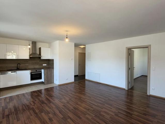 Terrassen Wohnung im Erdgeschoss mit Einbauküche und bis zu zwei PKW Abstellplätzen / Top 1