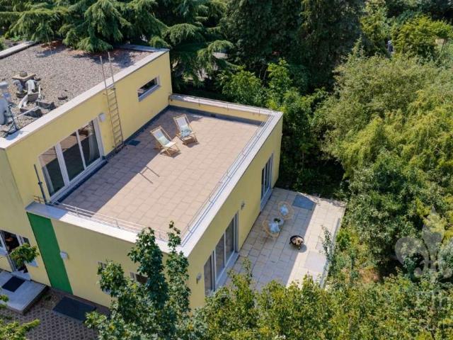 Terrassenparadies mit riesigem Garten Urwald Bauhausarchitektur trifft Natur