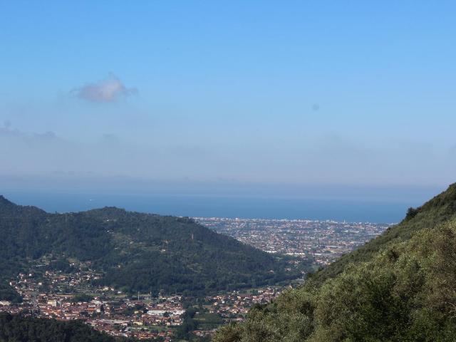 Terratetto in affitto a Camaiore