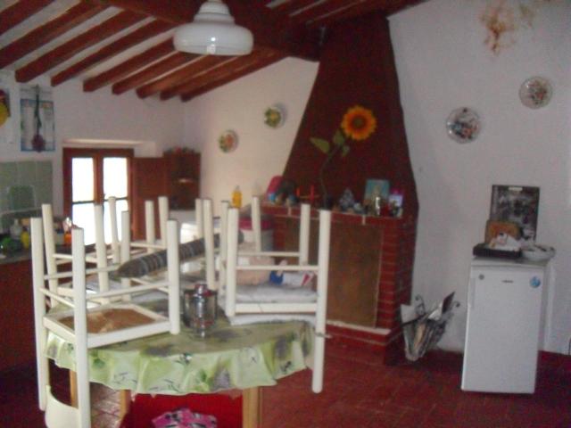 Terratetto in affitto a Camaiore