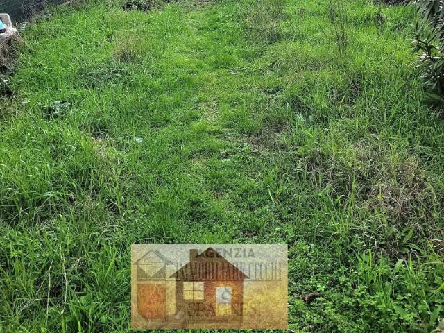 Terratetto in vendita a Campi Bisenzio