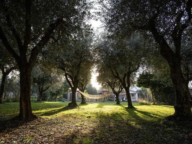 Terratetto in vendita a Forte Dei Marmi