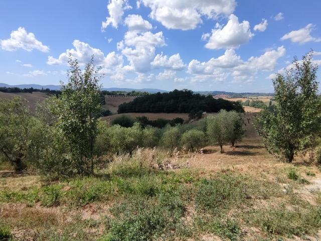 Terratetto in vendita a Siena