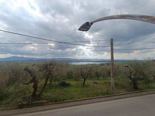 Terratetto unifamiliare in vendita a Castiglione Del Lago