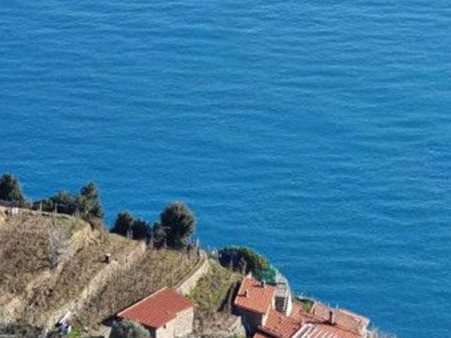 Terratetto unifamiliare in vendita a La Spezia