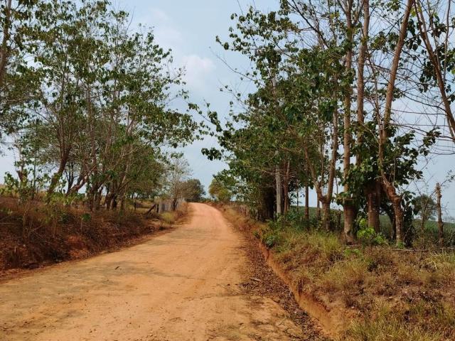TerrenTERRENO EN VENTA EN PALOGACHO TUXTEPEC OAXACAo en