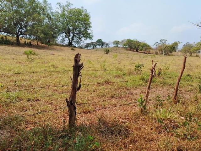 TerrenTERRENO EN VENTA EN PALOGACHO TUXTEPEC OAXACAo en