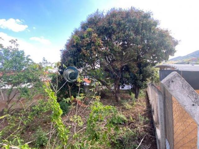Terreno murado, com boa topografia em Bairro residencial de Alto padrao com medidas de 12x30 com oti