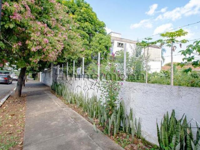 Terreno murado, plano em ótima localização no Alto de Pinheiros próximo da Praça Pan americanas, com
