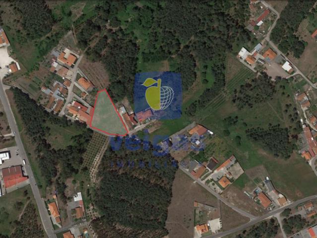 Terreno Maceira, Leiria