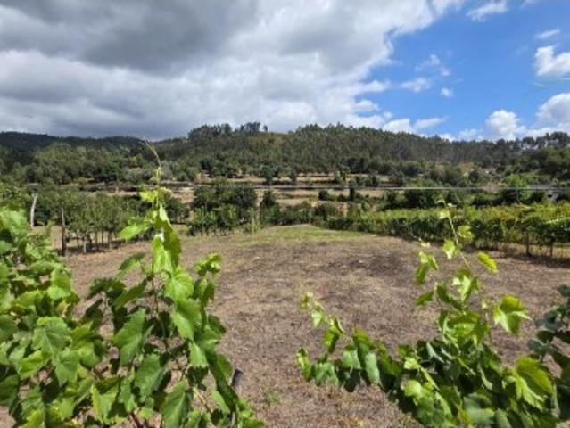 Terreno Mosteiro