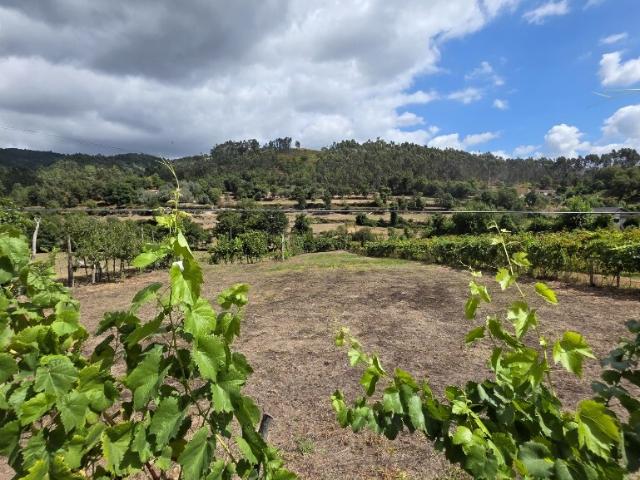 Terreno Mosteiro