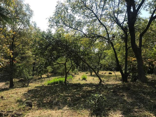 Terreno Malinalco
