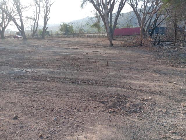 Terreno Manzanillo