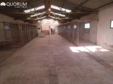 Burbustu-Altamira, Vizcaya, País Vasco