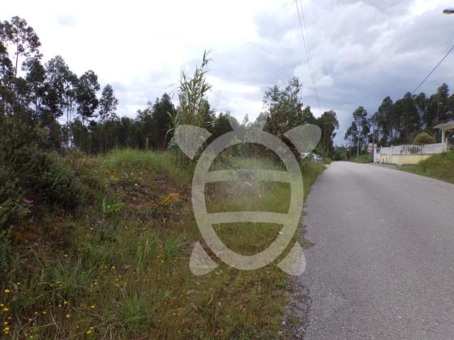 Terreno Marmeleira