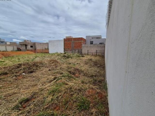 Terreno maravilhoso e pronto para construir, Guará II, Quadra 50