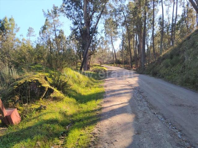 Terreno / Marco de Canaveses, Várzea, Aliviada e Folhada
