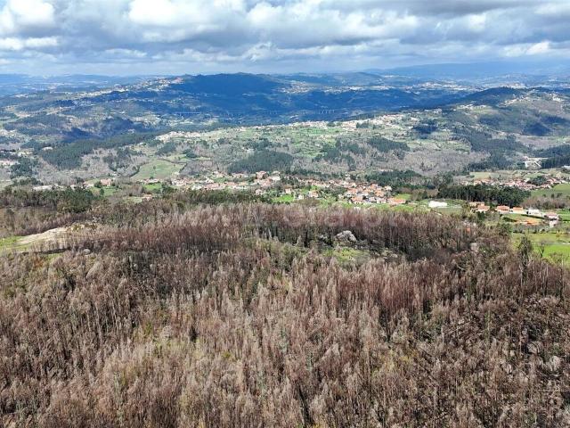 Terreno / Marco de Canaveses, Várzea, Aliviada e Folhada