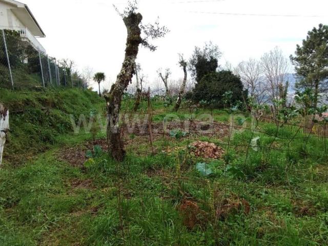 Terreno / Marco de Canaveses, Várzea, Aliviada e Folhada