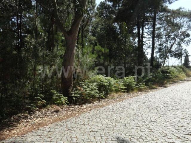 Terreno / Marco de Canaveses, Banho e Carvalhosa