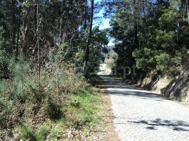 Terreno / Marco de Canaveses, Sande e São Lourenço