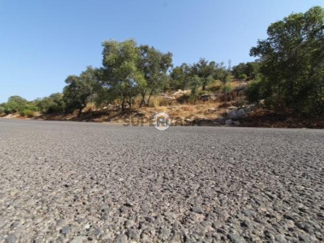 Terreno Mato da Espargueira Azinheiro Faro