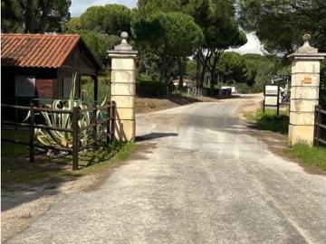 Terreno Mata do Duque I 300.000€