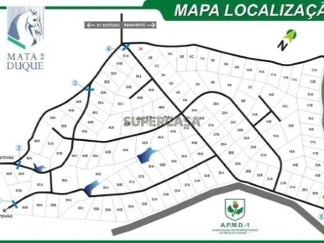 Terreno Mata do Duque I Urbanizavel Santo Estevão